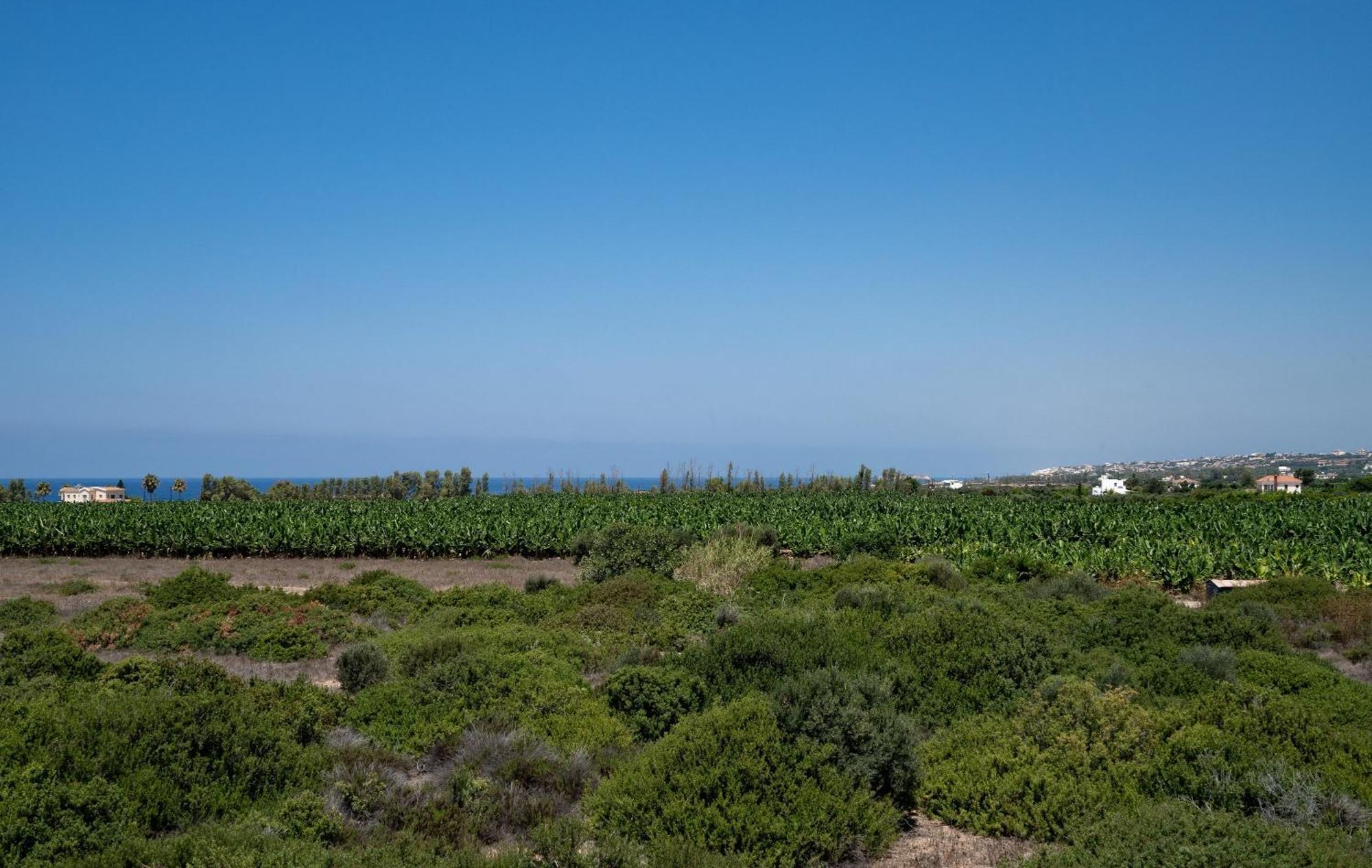 Sea Point Вилла Корал-Бэй